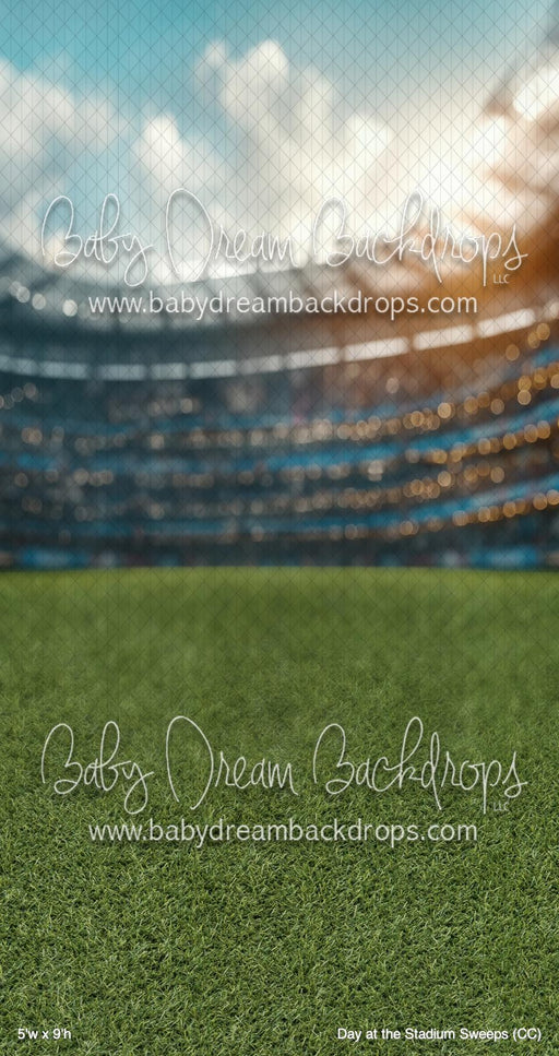Day at the Stadium Sweeps (CC)