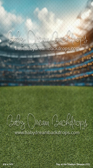 Day at the Stadium Sweeps (CC)