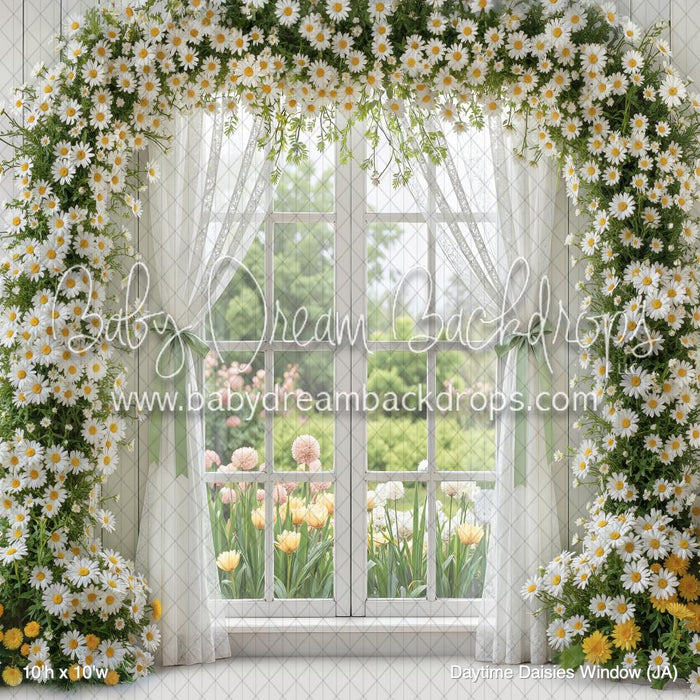 Daytime Daisies Window (JA)