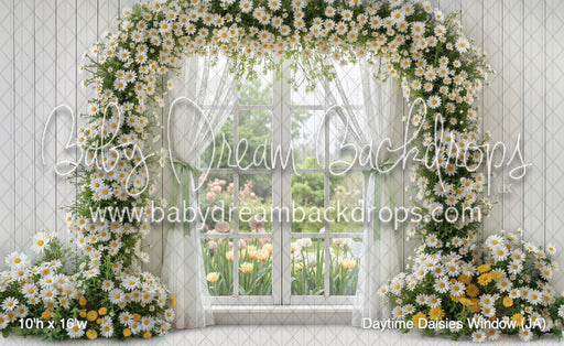 Daytime Daisies Window (JA)