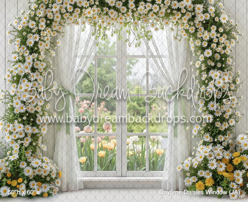 Daytime Daisies Window (JA)