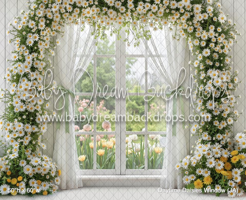 Daytime Daisies Window (JA)