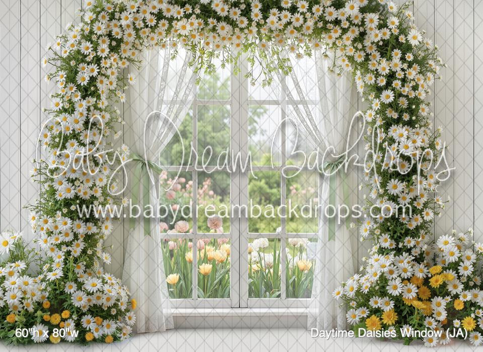 Daytime Daisies Window (JA)