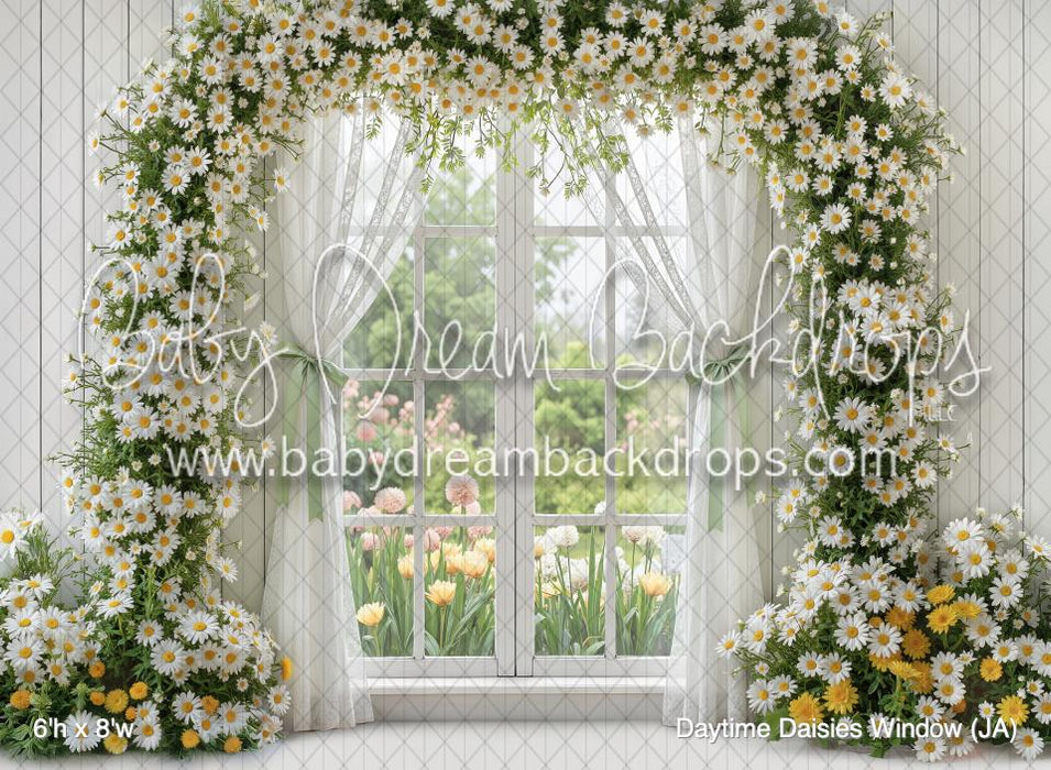 Daytime Daisies Window (JA)