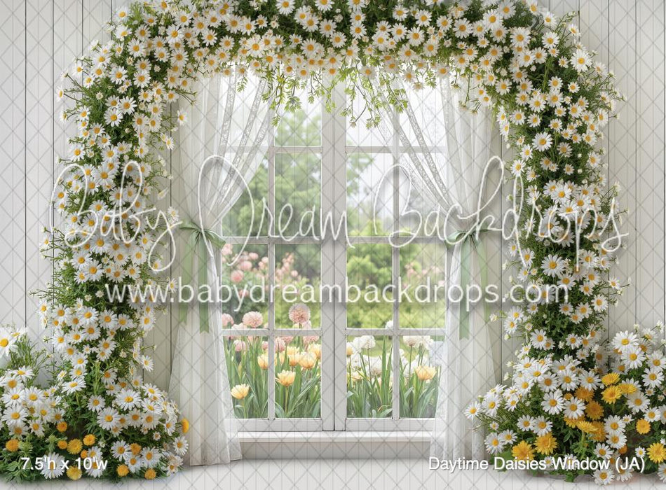 Daytime Daisies Window (JA)