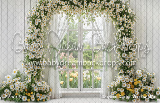 Daytime Daisies Window (JA)