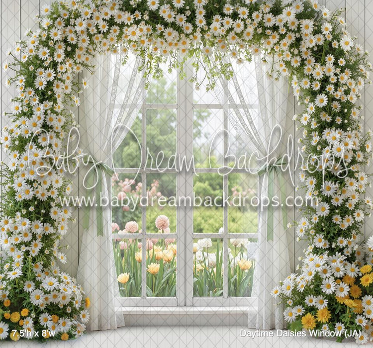 Daytime Daisies Window (JA)