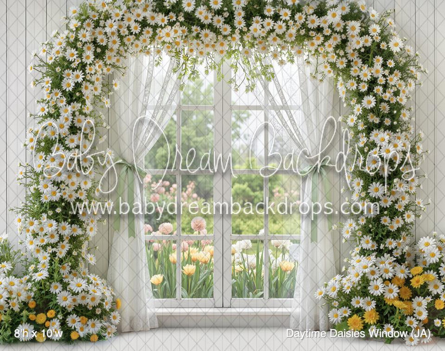 Daytime Daisies Window (JA)