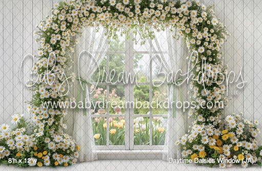 Daytime Daisies Window (JA)