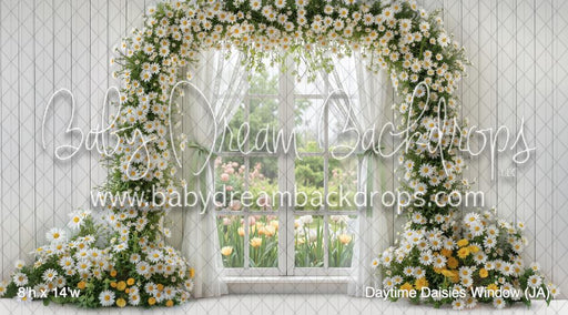 Daytime Daisies Window (JA)