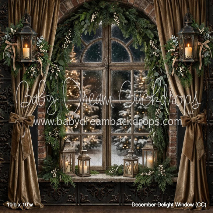 December Delight Window (CC)