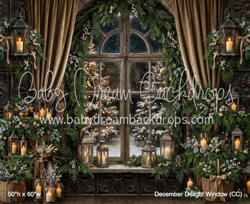 December Delight Window (CC)