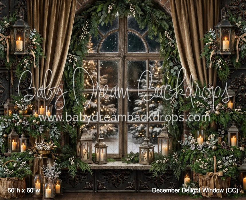 December Delight Window (CC)