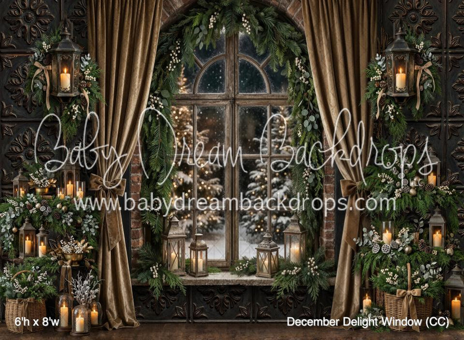 December Delight Window (CC)