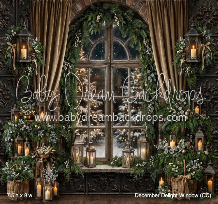 December Delight Window (CC)