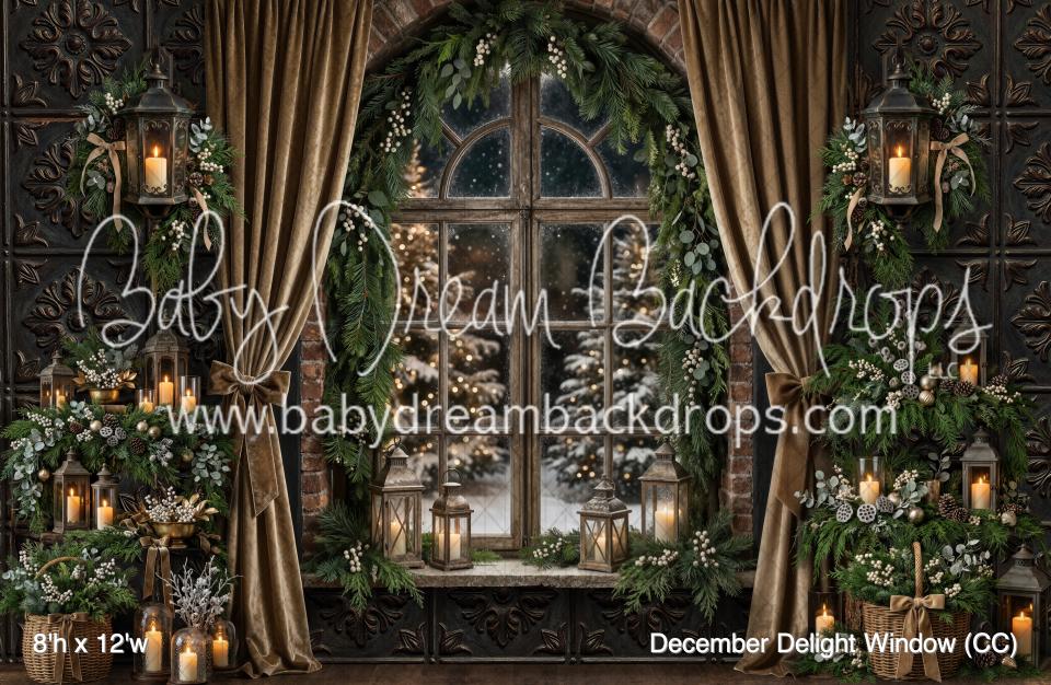 December Delight Window (CC)