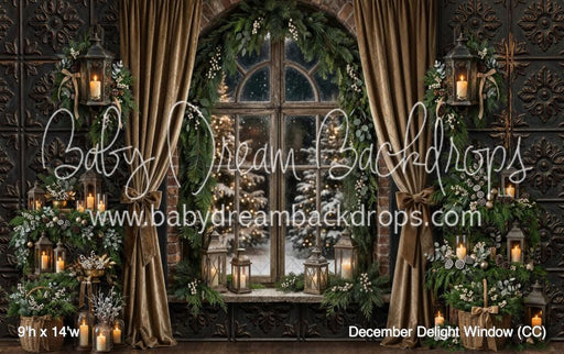 December Delight Window (CC)