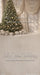 December Light Sweep (MD)