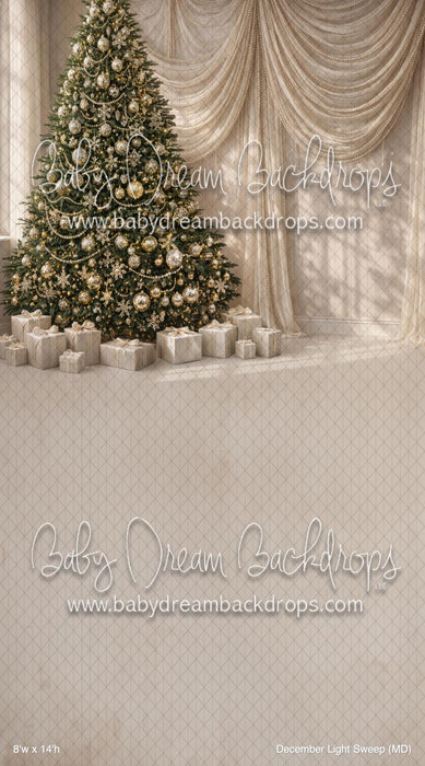 December Light Sweep (MD)