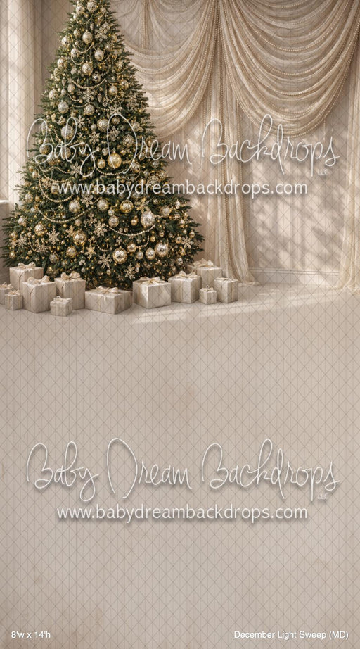 December Light Sweep (MD)