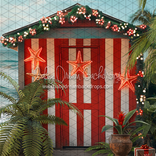 December at the Beach (JA)