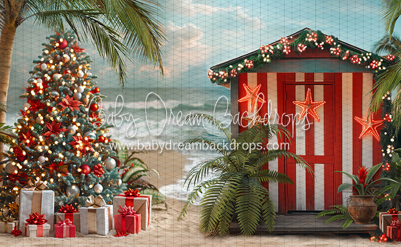 December at the Beach (JA)