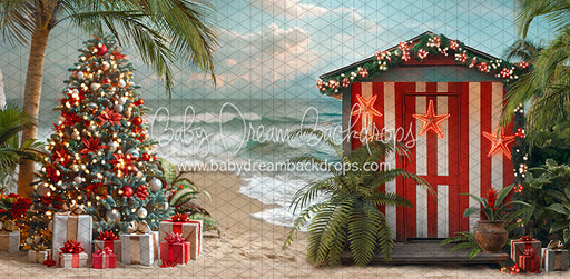 December at the Beach (JA)