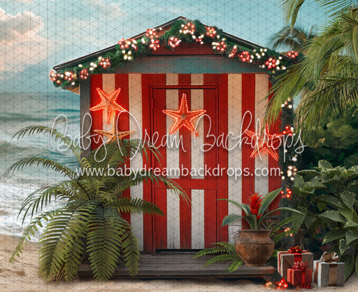 December at the Beach (JA)