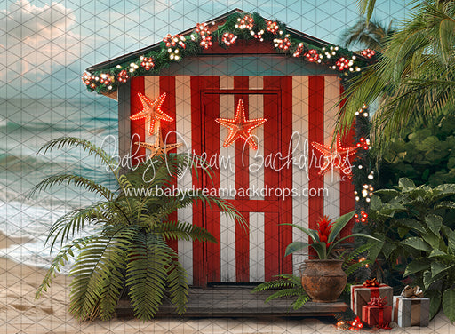 December at the Beach (JA)