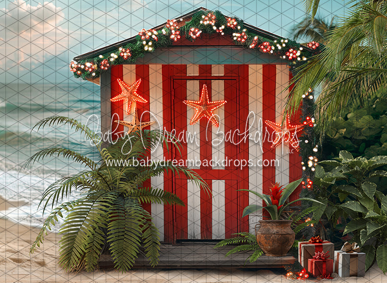 December at the Beach (JA)