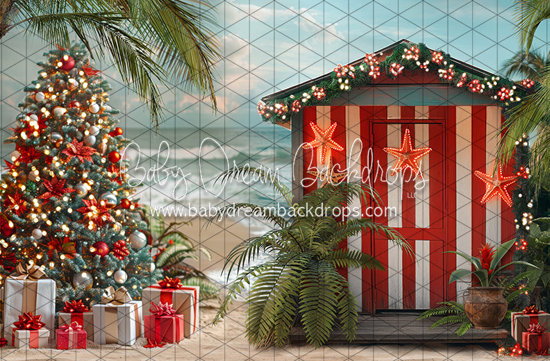 December at the Beach (JA)