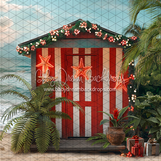 December at the Beach (JA)