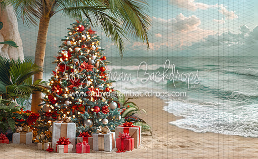 December at the Beach Tree (JA)