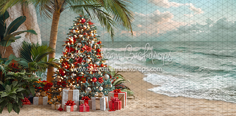 December at the Beach Tree (JA)