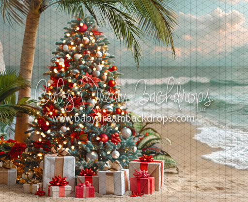 December at the Beach Tree (JA)