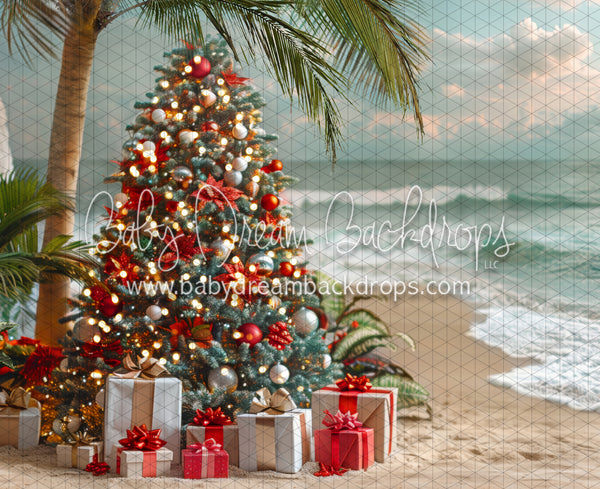 December at the Beach Tree (JA)