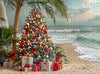 December at the Beach Tree (JA)
