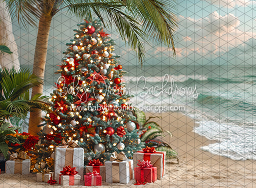December at the Beach Tree (JA)