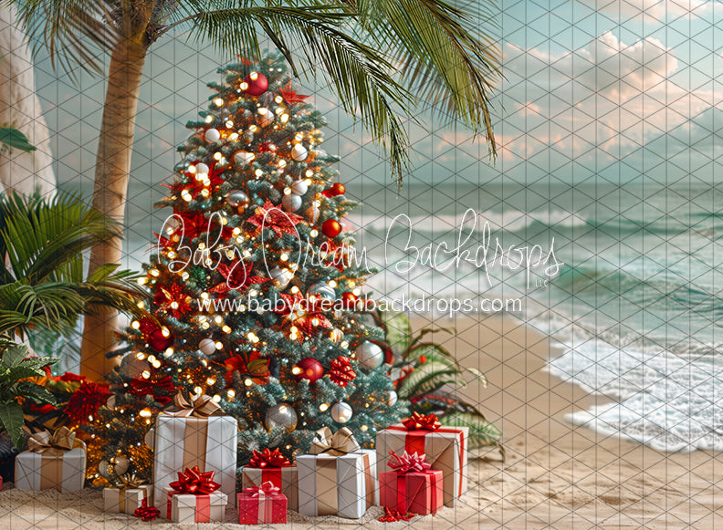 December at the Beach Tree (JA)