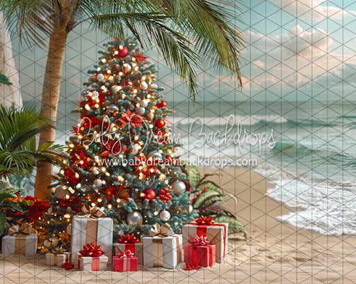 December at the Beach Tree (JA)