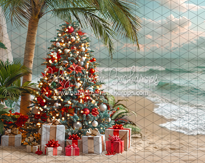 December at the Beach Tree (JA)