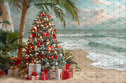 December at the Beach Tree (JA)