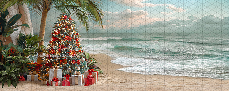 December at the Beach Tree (JA)