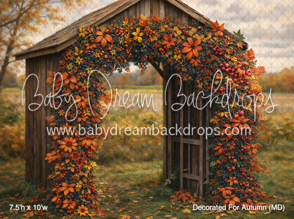 Decorated For Autumn (MD)