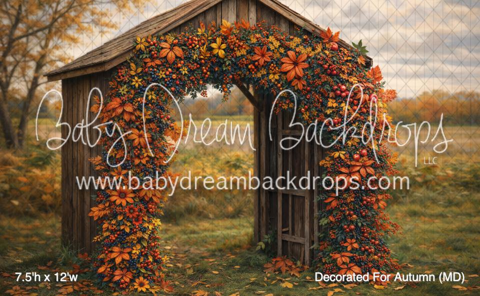 Decorated For Autumn (MD)