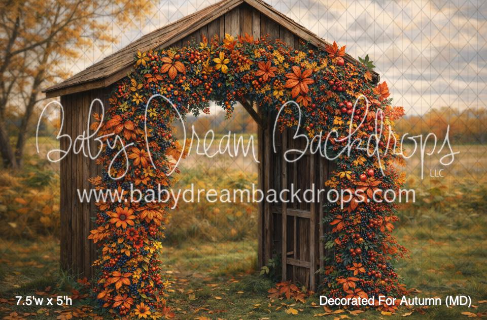 Decorated For Autumn (MD)