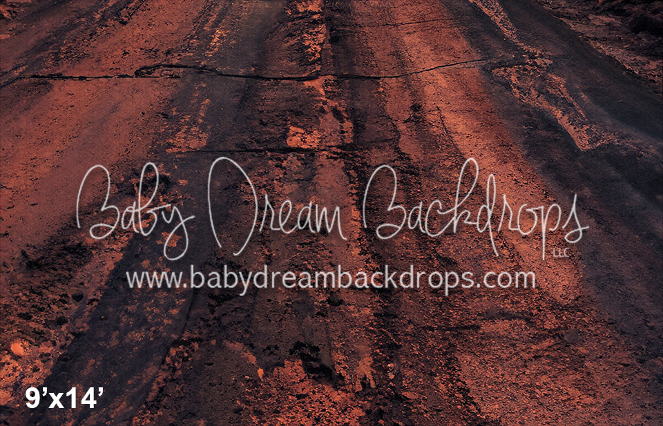 Desert Road Mountain Sunset Fabric Floor (SM) 