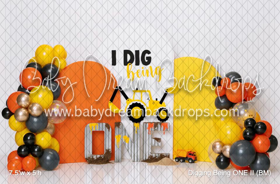 Digging Being ONE II (BM)