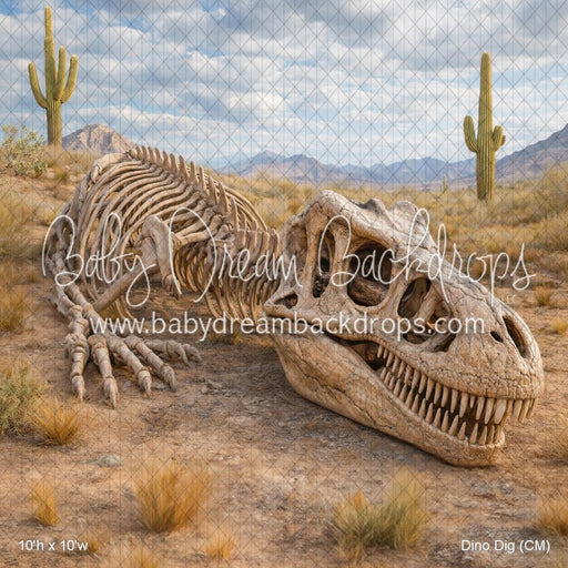Dino Dig (CM)