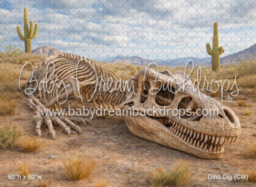 Dino Dig (CM)